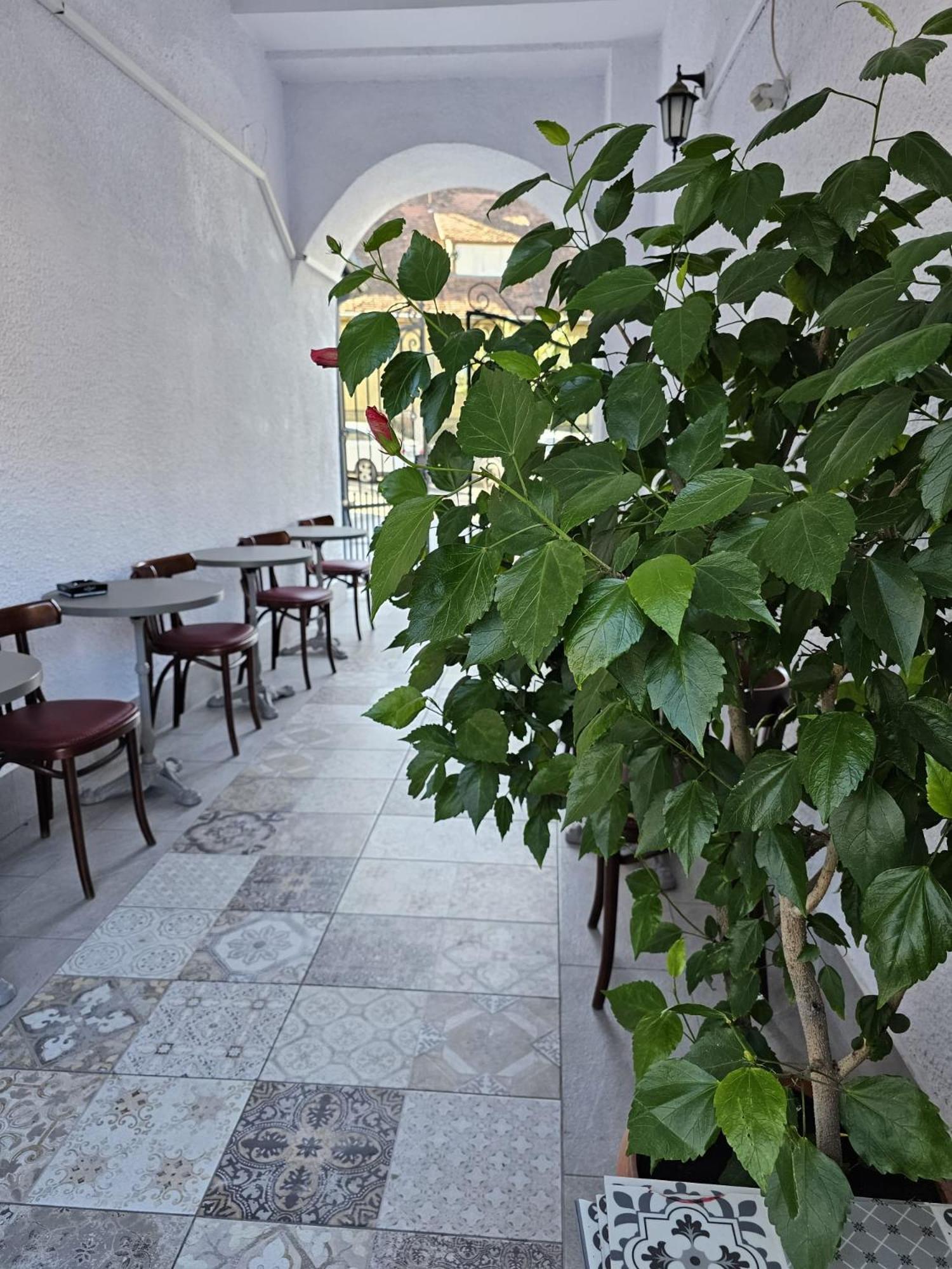 Apollonia 3* Braşov