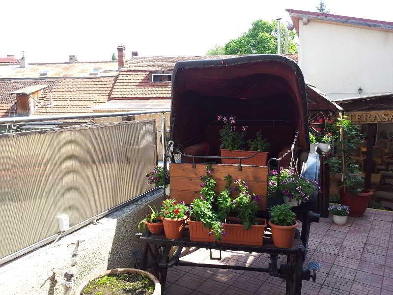 酒店 Apollonia Braşov